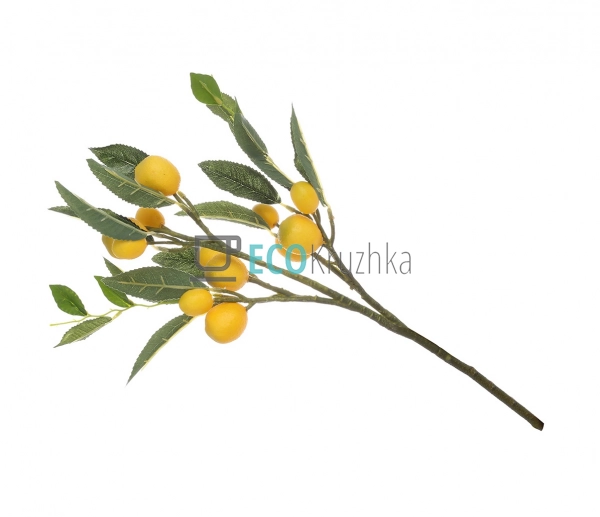Гілка декоративна з плодами ... Гілка декоративна з плодами ...
