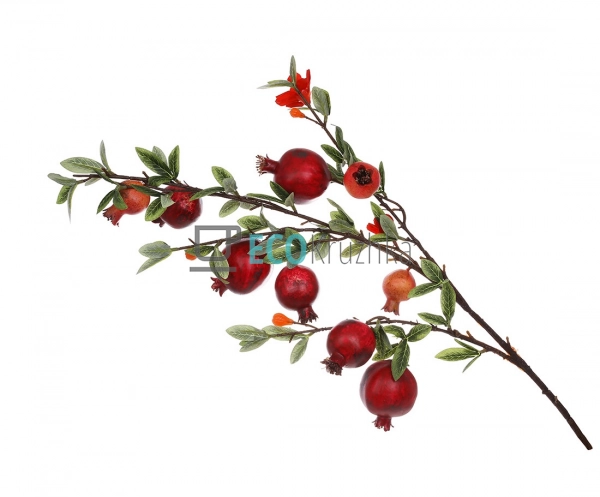 Гілка декоративна Гранату з ... Гілка декоративна Гранату з ...