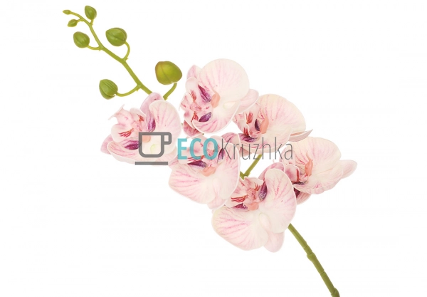 Штучна латексна орхідея, 6 квіток, 14x74 см, світло-бузк ...