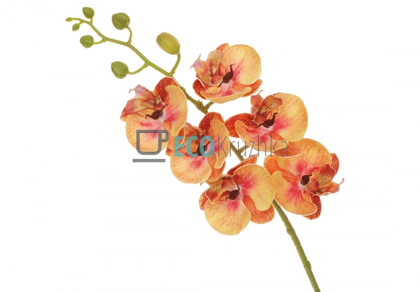 Штучна латексна орхідея, 6 квіток, 14x74 см, помаранчева ...