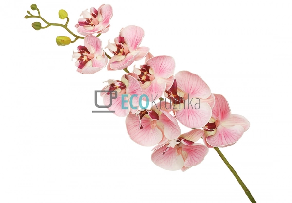 Штучна латексна орхідея, 9 квіток, 15x103 см, рожева (14 ...