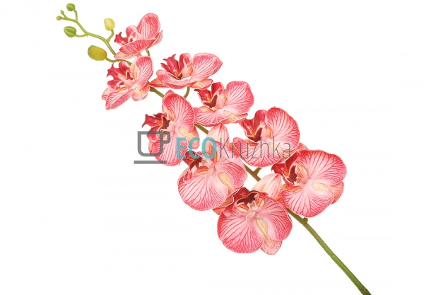 Штучна латексна орхідея, 9 квіток, 15x103 см, яскраво-ро ...