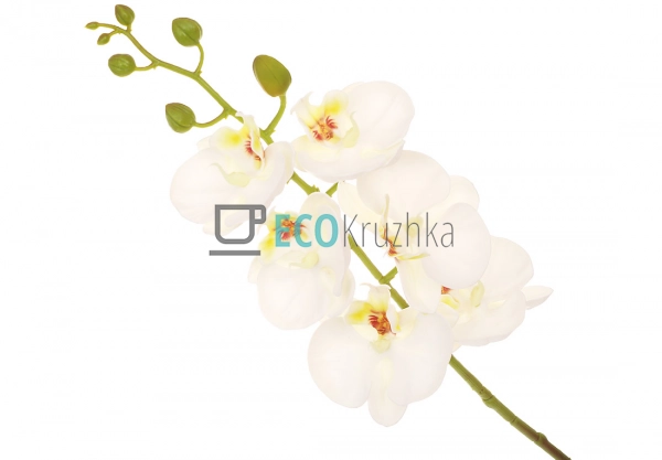 Штучна латексна орхідея, 6 квіток, 14x74 см, біла (140-0 ...
