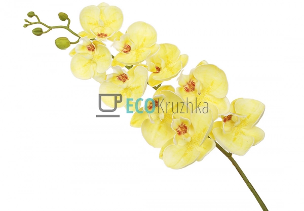 Штучна латексна орхідея, 9 квіток, 15x103 см, жовта (140 ...