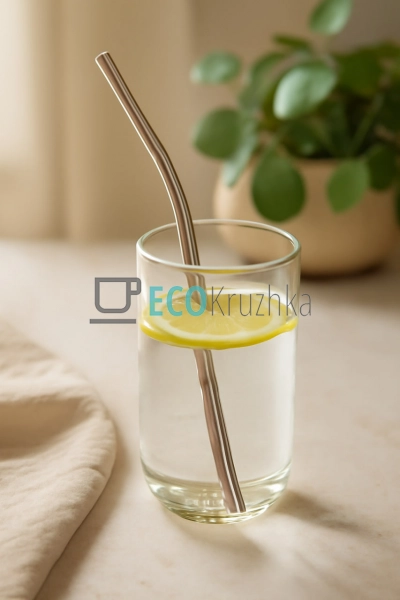 Набір 4 трубочки 8х210 мм і щітка "Нержавіючі" (R10851) Набір 4 трубочки 8х210 мм і щітка "Нержавіючі" (R10851)