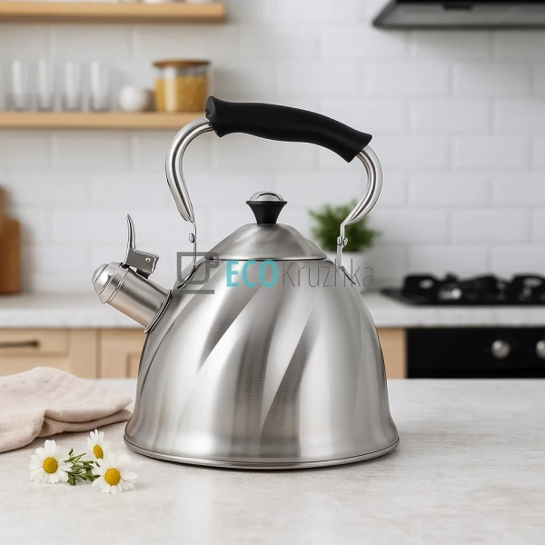 Чайник 3 л з нержавіючої сталі зі свистком і нейлонової  ...