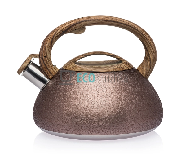 Чайник зі свистком з нержаві ...