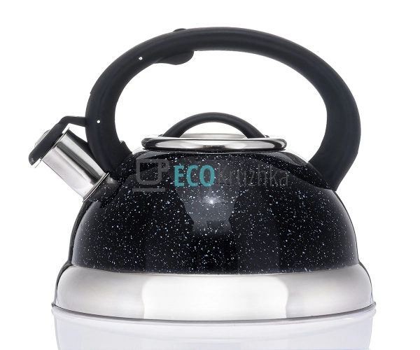 Чайник 3 л з нержавіючої сталі зі свистком і нейлонової ручкою для індукції і газу Maestro Чорний MR-1313-C Чайник 3 л з нержавіючої сталі зі свистком і нейлонової ручкою для індукції і газу Maestro Чорний MR-1313-C