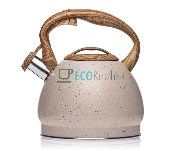 Чайник з нержавіючої сталі зі свистком і бакелітовою руч ...