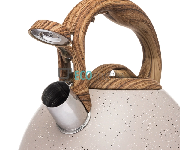 Чайник з нержавіючої сталі зі свистком і бакелітовою руч ...